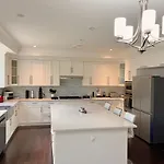 Dream View